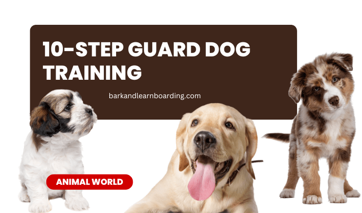 10-Step Guard Dog Training