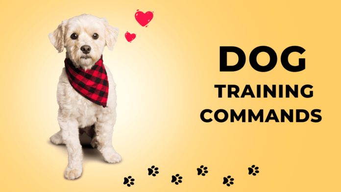 Dog Training Commands