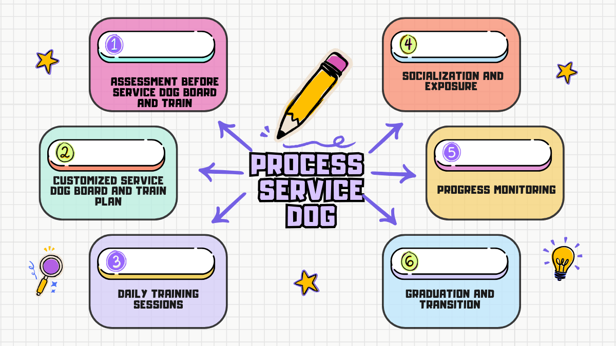 Process of Service Dog