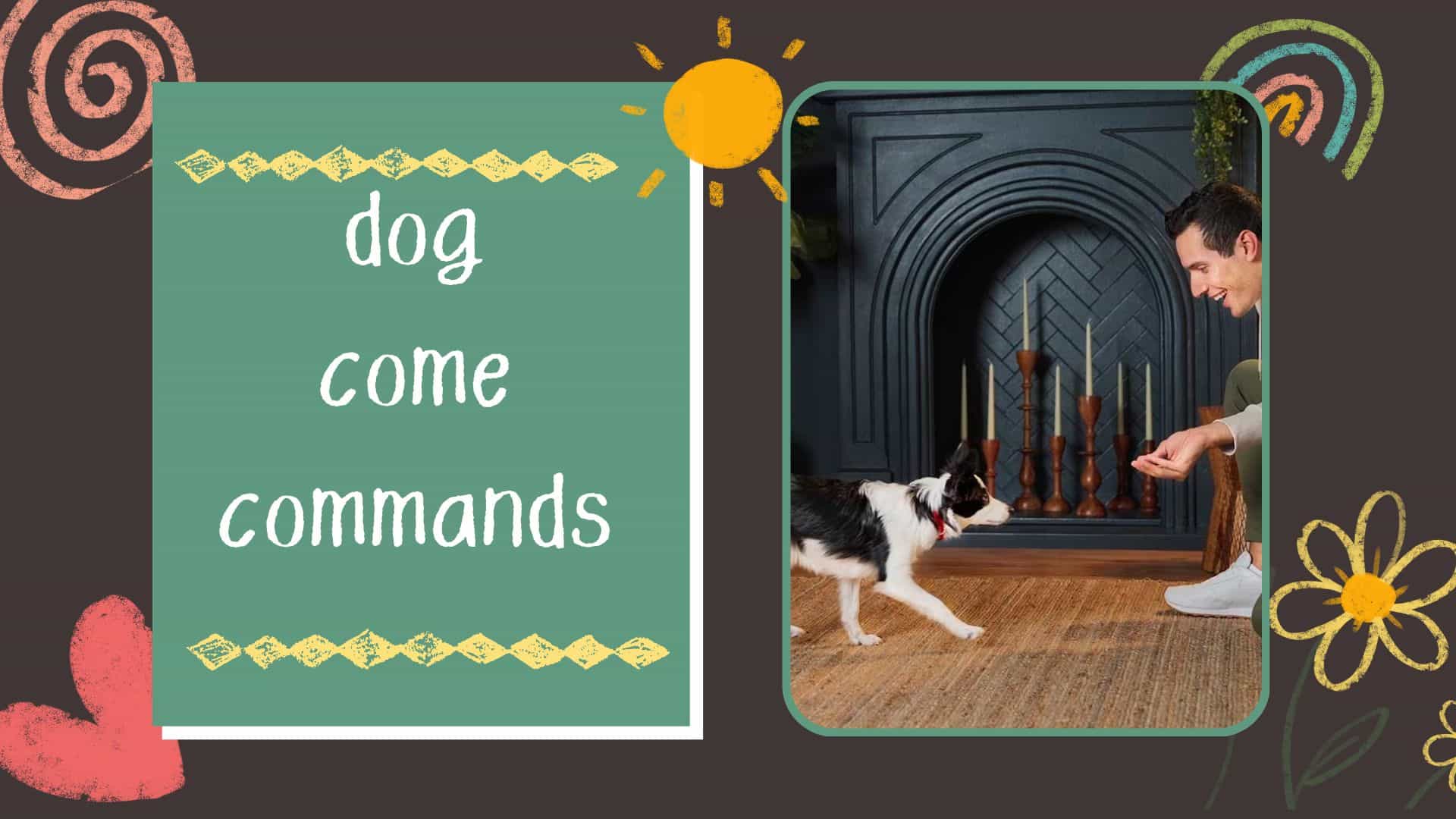 dog come commands