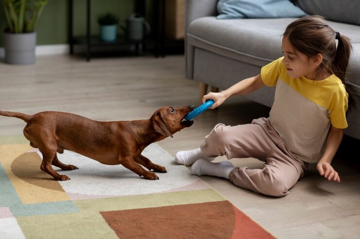 Dog Behavioral Modification