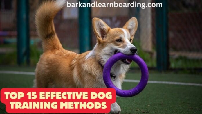 Dog Training Methods