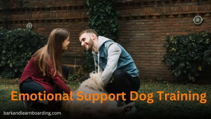 Emotional Support Dog Training