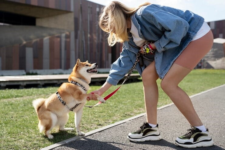 Puppy Special Training